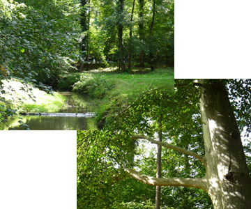 Les mini animaux en éco pâturage