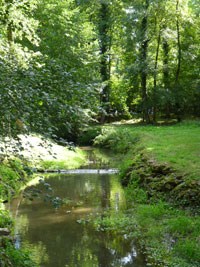 Sous bois et rivière à Fami P.A.R.C